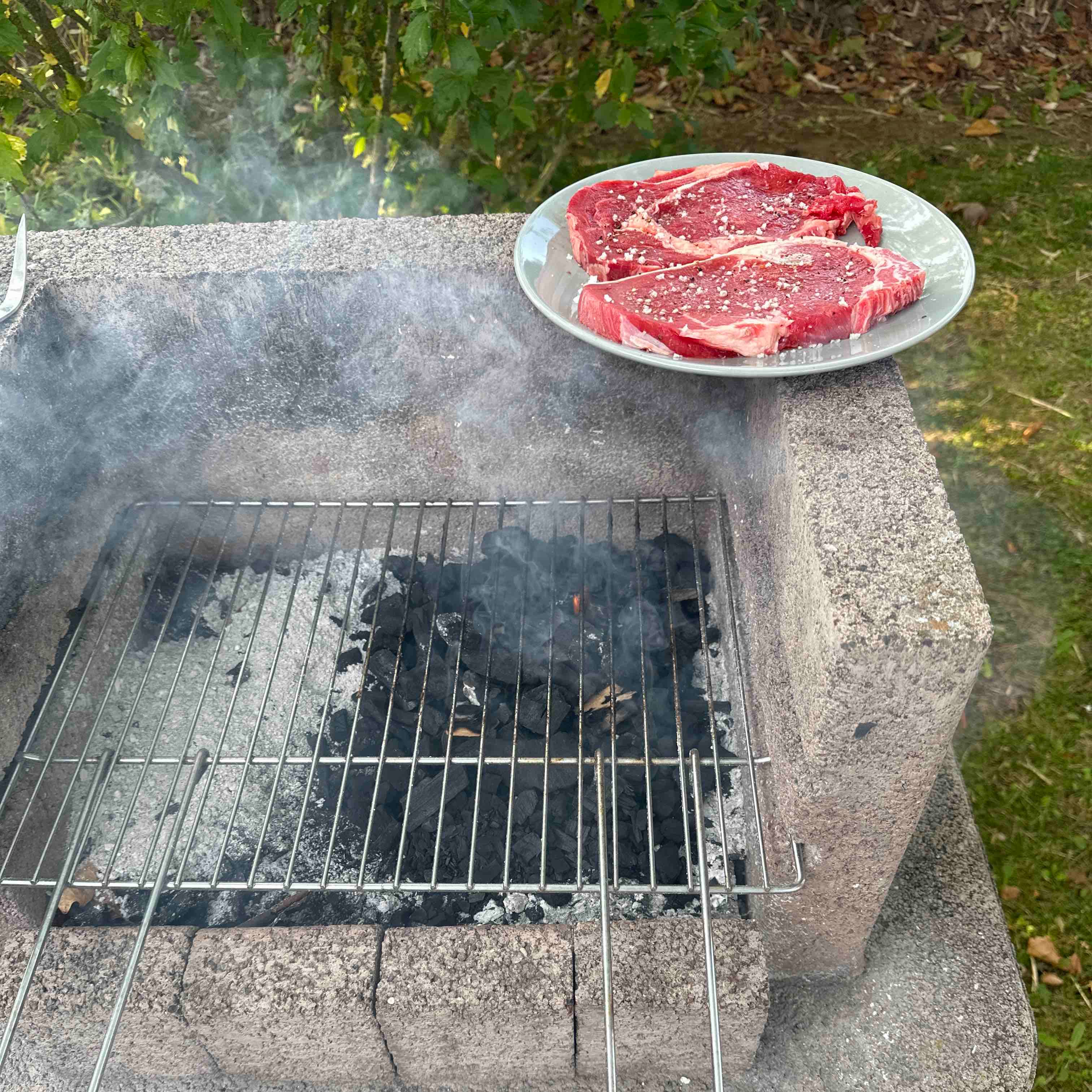 entrecote en lendebiefstuk